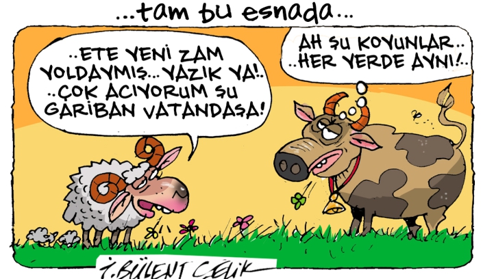 koyunlar-eteZam