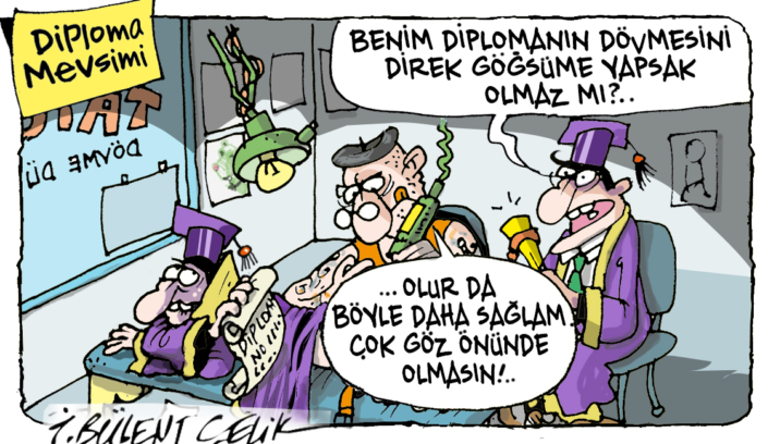 diploma-dovme